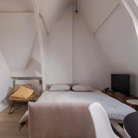 Appartement One Bedroom With Sloped Ceiling Rotterdam