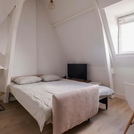 One Bedroom With Sloped Ceiling Appartement Rotterdam